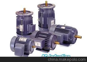 【愛(ài)德利變頻馬達(dá)ACO馬達(dá)】?jī)r(jià)格,廠家,圖片,其他電動(dòng)機(jī),廣州年祥機(jī)電設(shè)備-